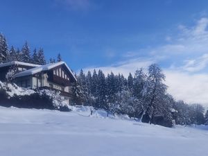 Ferienhaus Waldhof im Winter