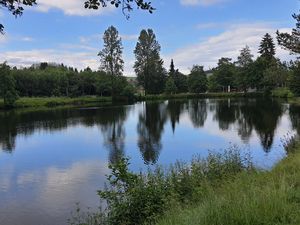 Ferienwohnung Seeblick