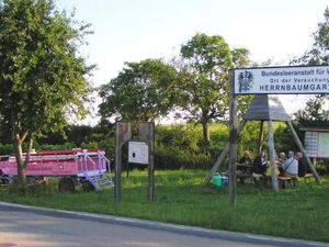 Picknick im Weingarten