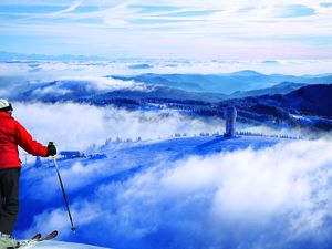 Feldberg Winter