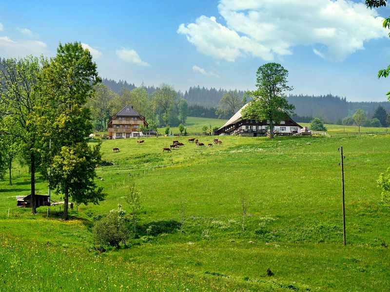 Hof und Ferienhaus