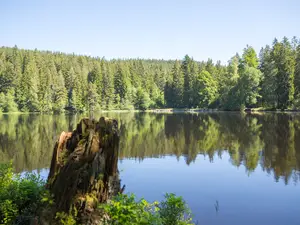 Mathisleweiher Hinterzarten Mathisleweiher Hinterzarten