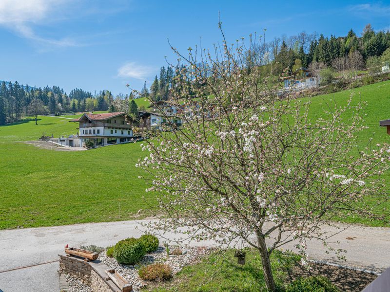 Aussicht vom Ferienhaus [Sommer]