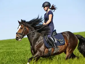 Ausritt Ausritt