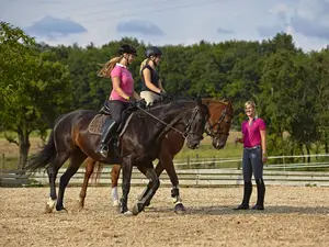Reitunterricht Reitunterricht