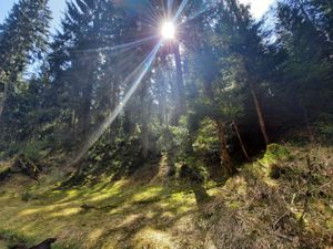 Naturpark Meyersgrund Umgebung