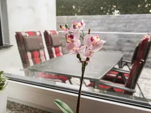 Blick auf die Terrasse