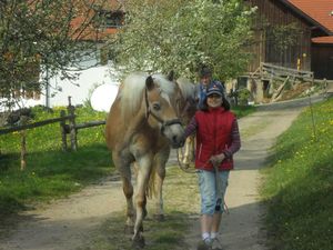 Täglicher Weidegang