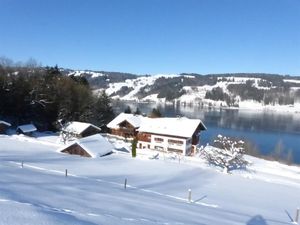 Wintertraum am Alpsee