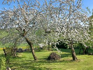 Garten Frühling