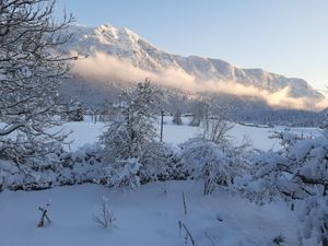 Blick vom Balkon in den  Garten