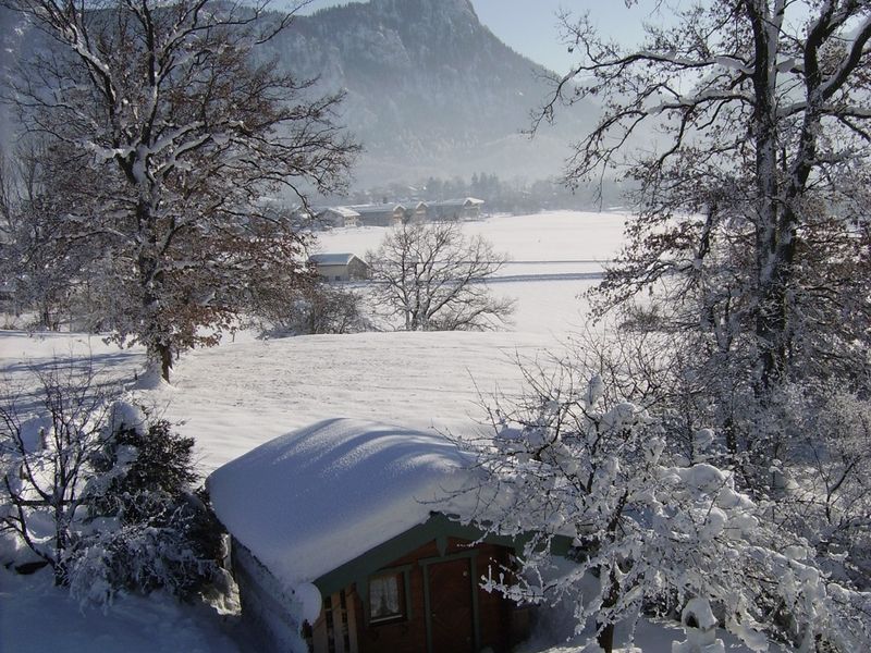 Garten im Winter