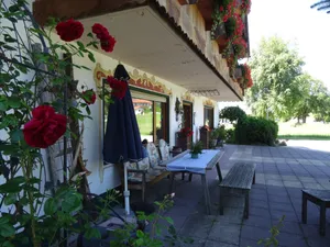 Eingangsterrasse Eingangsterrasse