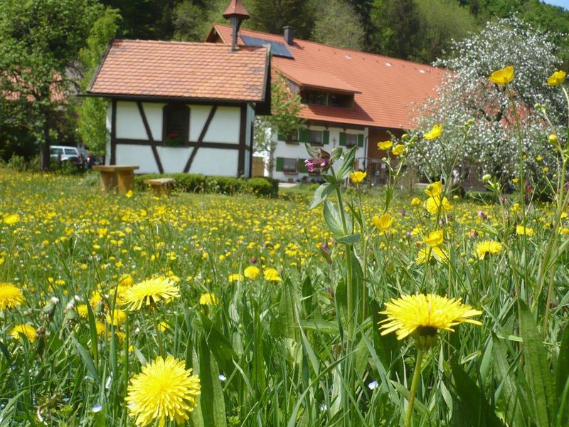 Ihr Ferienhof Schad in Isny