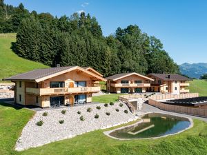 Drohne_Alpenchalets