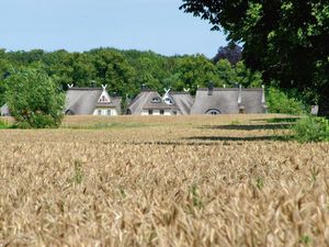 Direkte Umgebung des Objekts. Blick auf die Siedlung