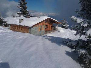 Luxner Helga Kaltenbach Zillertal Winter