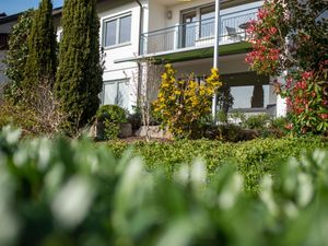 Blick auf Terrasse