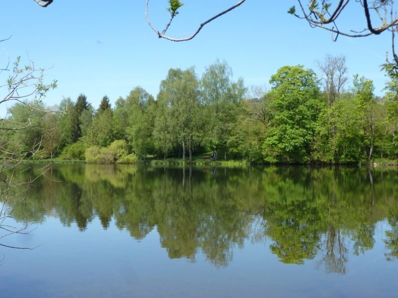 Wandern um den Stadtweiher