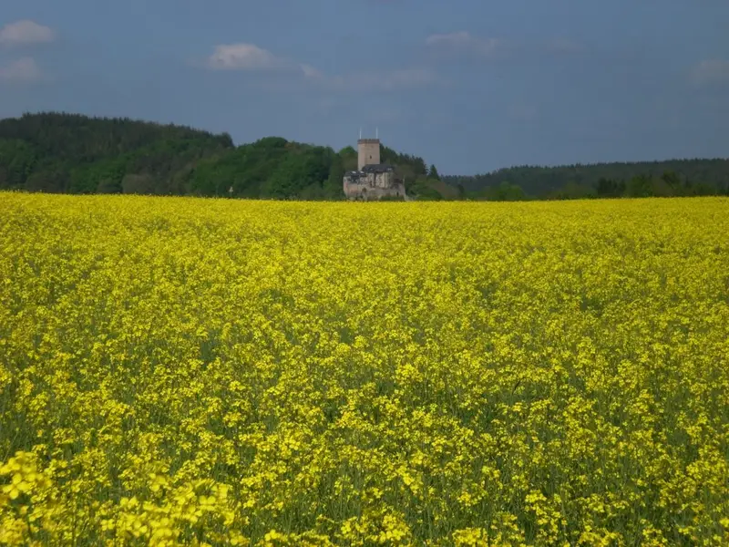 Burg Kerpen im Frühling