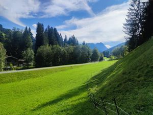 Aussicht vom Ferienhaus [Sommer]