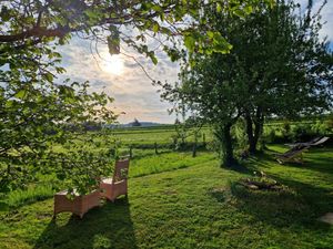 Naturnaher Garten mit Blumenwiese und Liegewiese