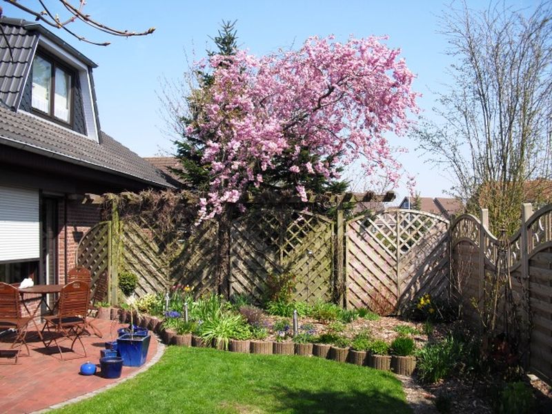 Garten mit Terrasse