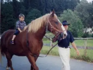 Pferd Pferd
