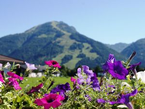 Blick auf die Berge