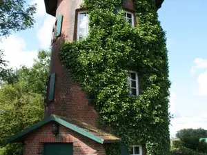 Bild 3 Bild 3