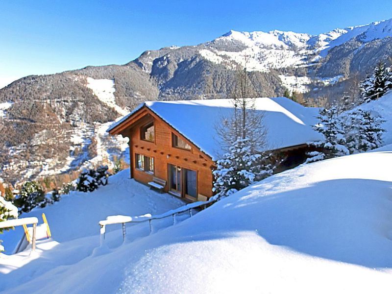 Chalet Alpina