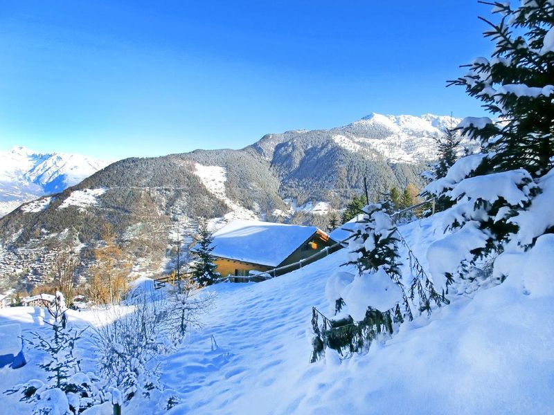 Chalet Quatre Vallees