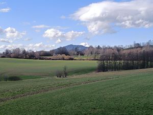 Blick zum Hohenbogen