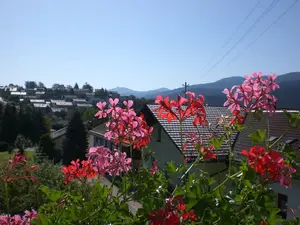 Blick vom Balkon zum Blick vom Balkon zum