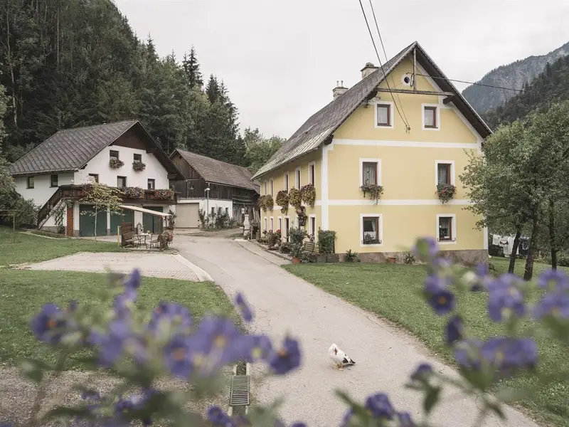 Unser Hof in Landl Unser Hof in Landl