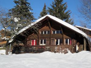 Minnehaha Winter