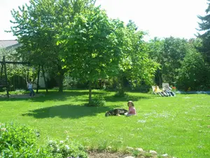 Im Garten Im Garten
