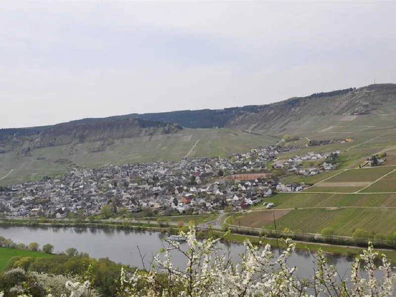 Blick nach leiwen Blick nach leiwen