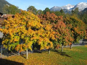 Herbststimmung Nordseite