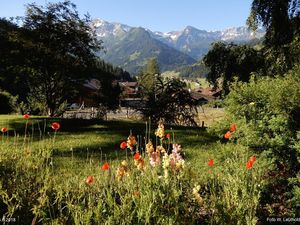 Gastfoto, Sicht aus dem Schlafzimmerfenster