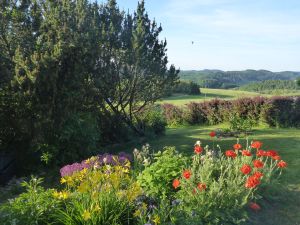 Frühling auf dem Weissenstein