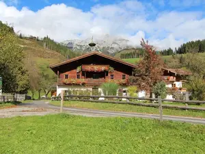 Bild 3 Bild 3