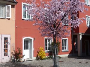 Außenansicht Appartement "Pizol" & "Bödele"