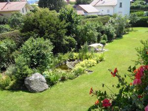 Blick in den Garten