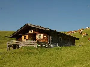 Bild 4 Bild 4