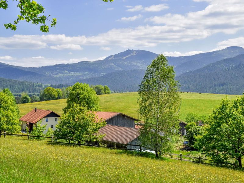 Urlaub auf dem Haberlhof