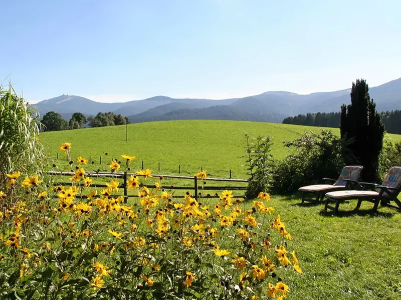 Ausblick zum Arber Ausblick zum Arber
