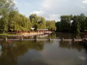 AreaSummer5KM