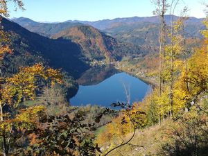 Traumhafter Ausblick auf den Lunzer See