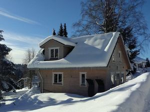 Chalet Winter